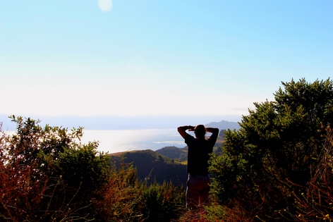 ��������� ����������